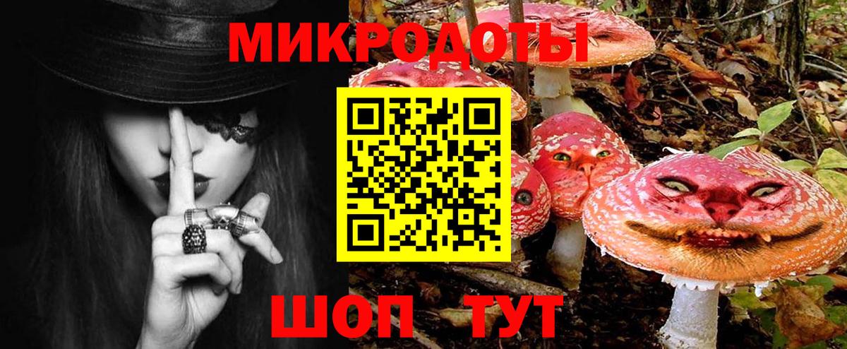 Псилоцибиновые грибы Psilocybe  Вход с VPN  Советск 